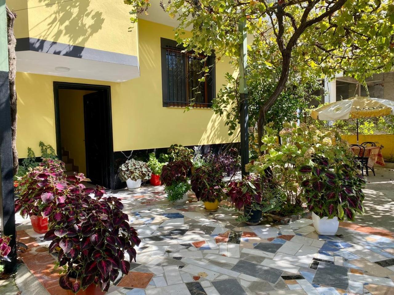גולם H&A Guest House מראה חיצוני תמונה